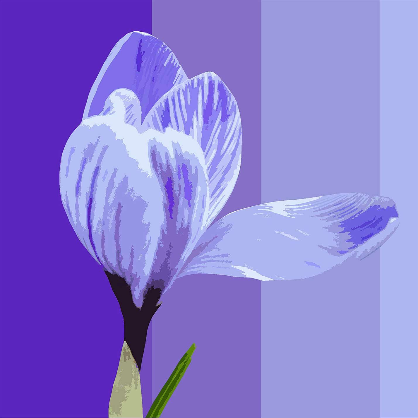 © Erhard Biebl - Floral Artcomposing, alle Rechte vorbehalten