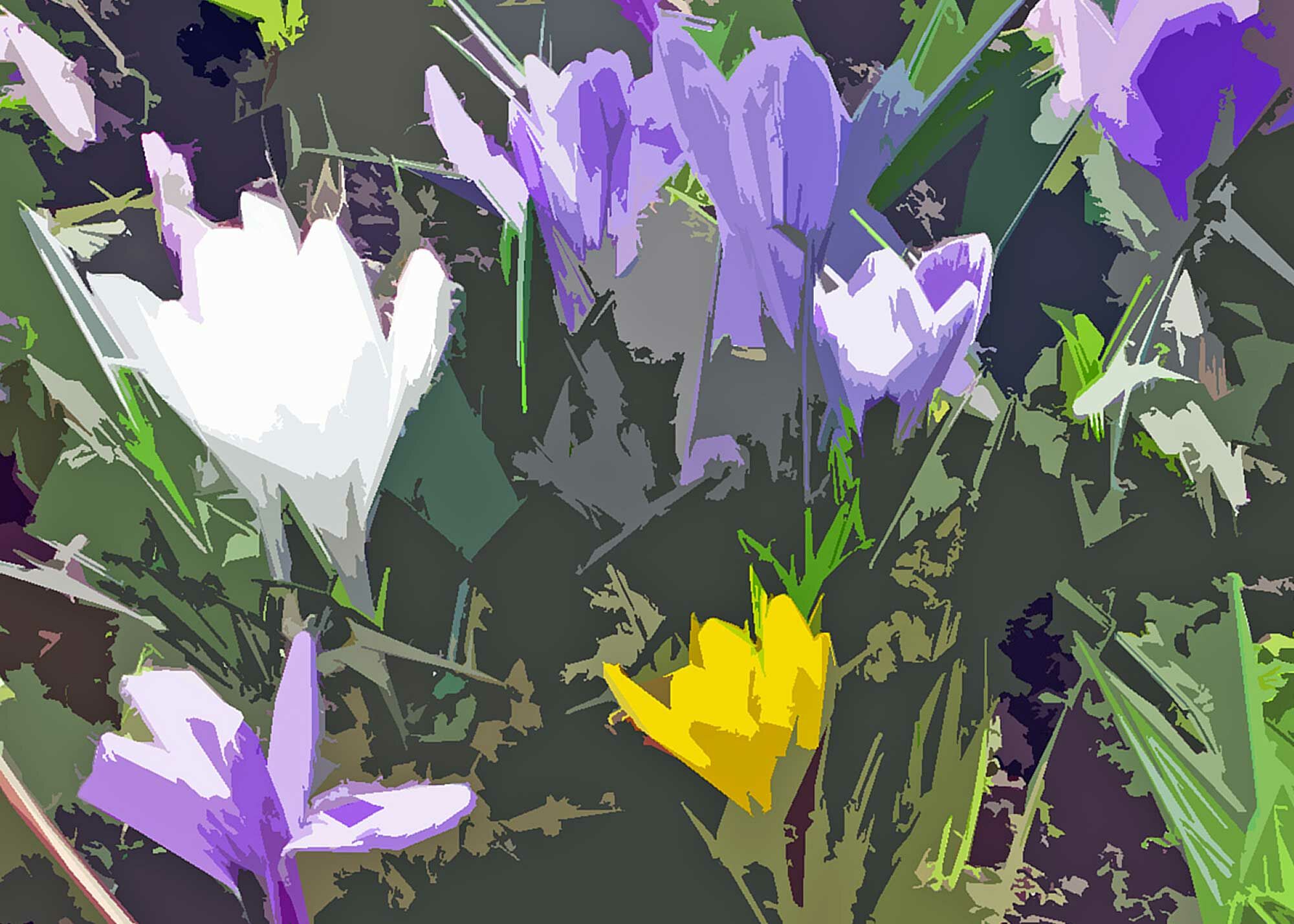 © Erhard Biebl - Floral Artcomposing, alle Rechte vorbehalten