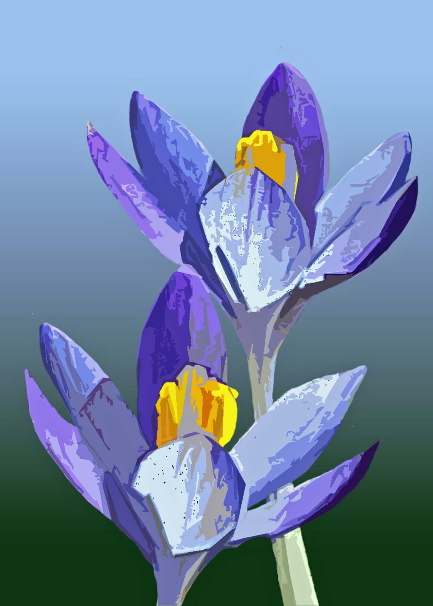 Erhard Biebl - Floral Artcomposing, alle Rechte vorbehalten