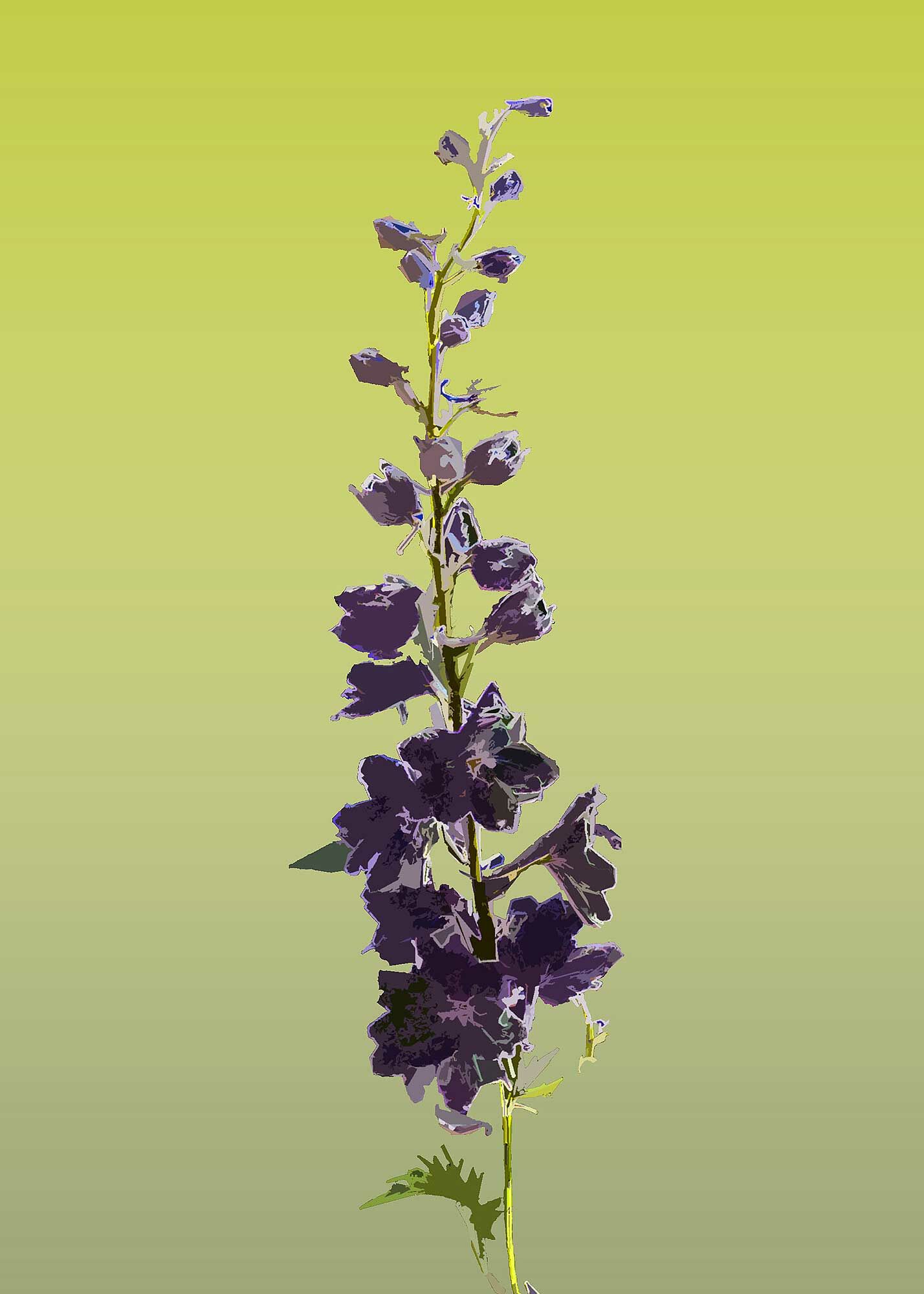 © Erhard Biebl - Floral Artcomposing, alle Rechte vorbehalten