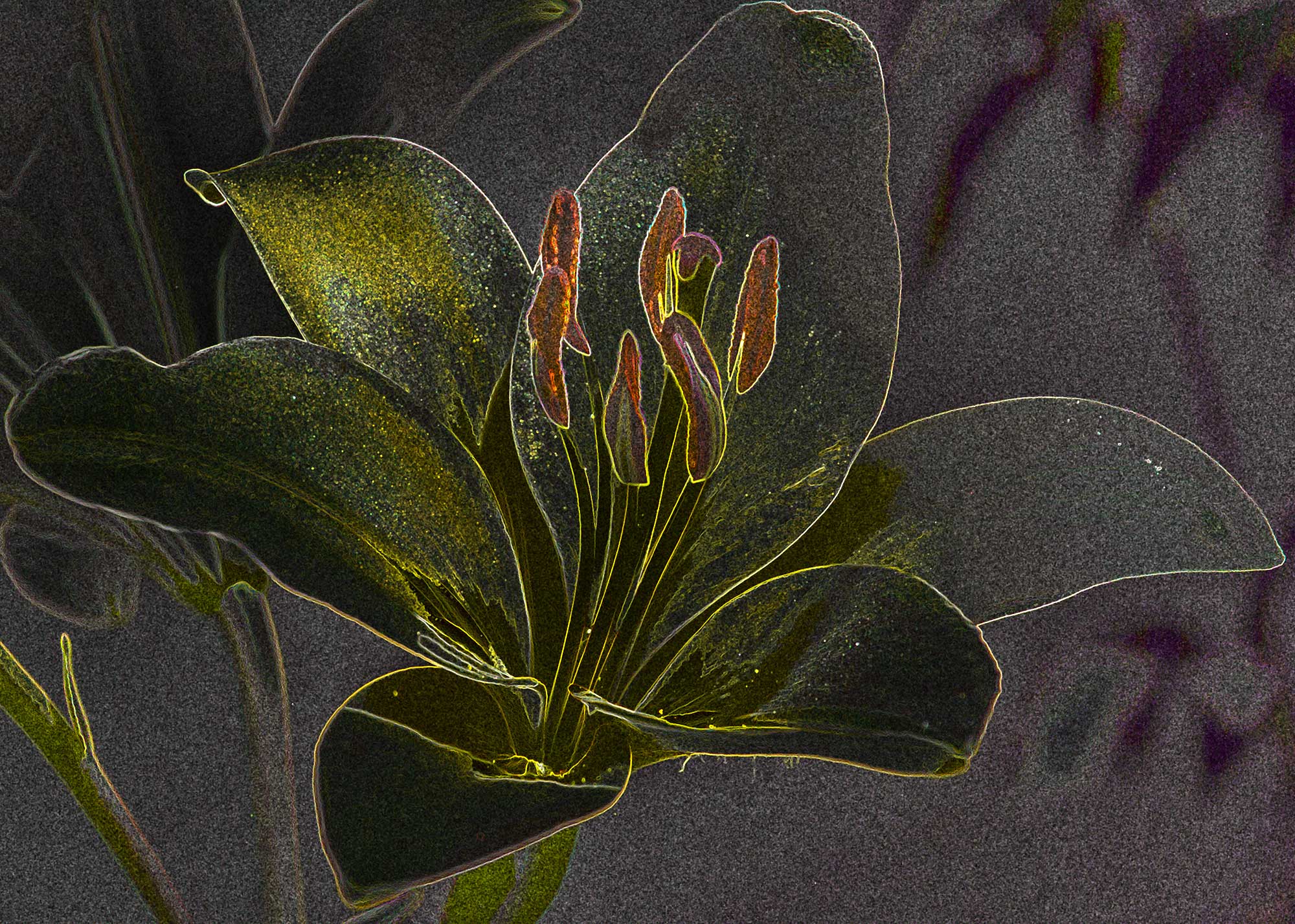 © Erhard Biebl - Floral Artcomposing, alle Rechte vorbehalten