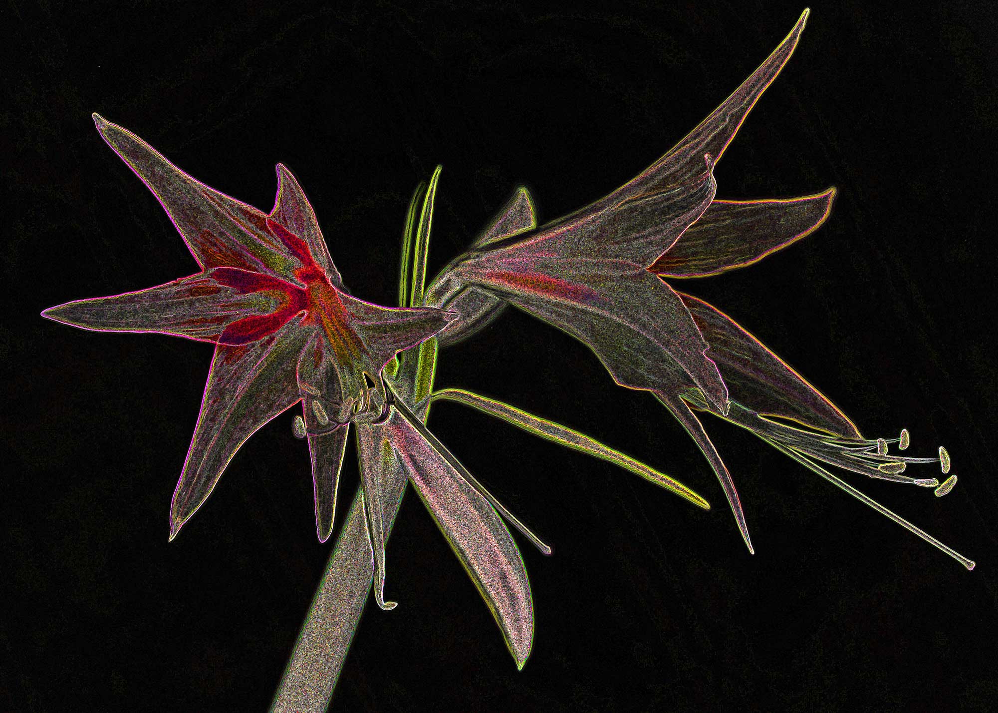 © Erhard Biebl - Floral Artcomposing, alle Rechte vorbehalten