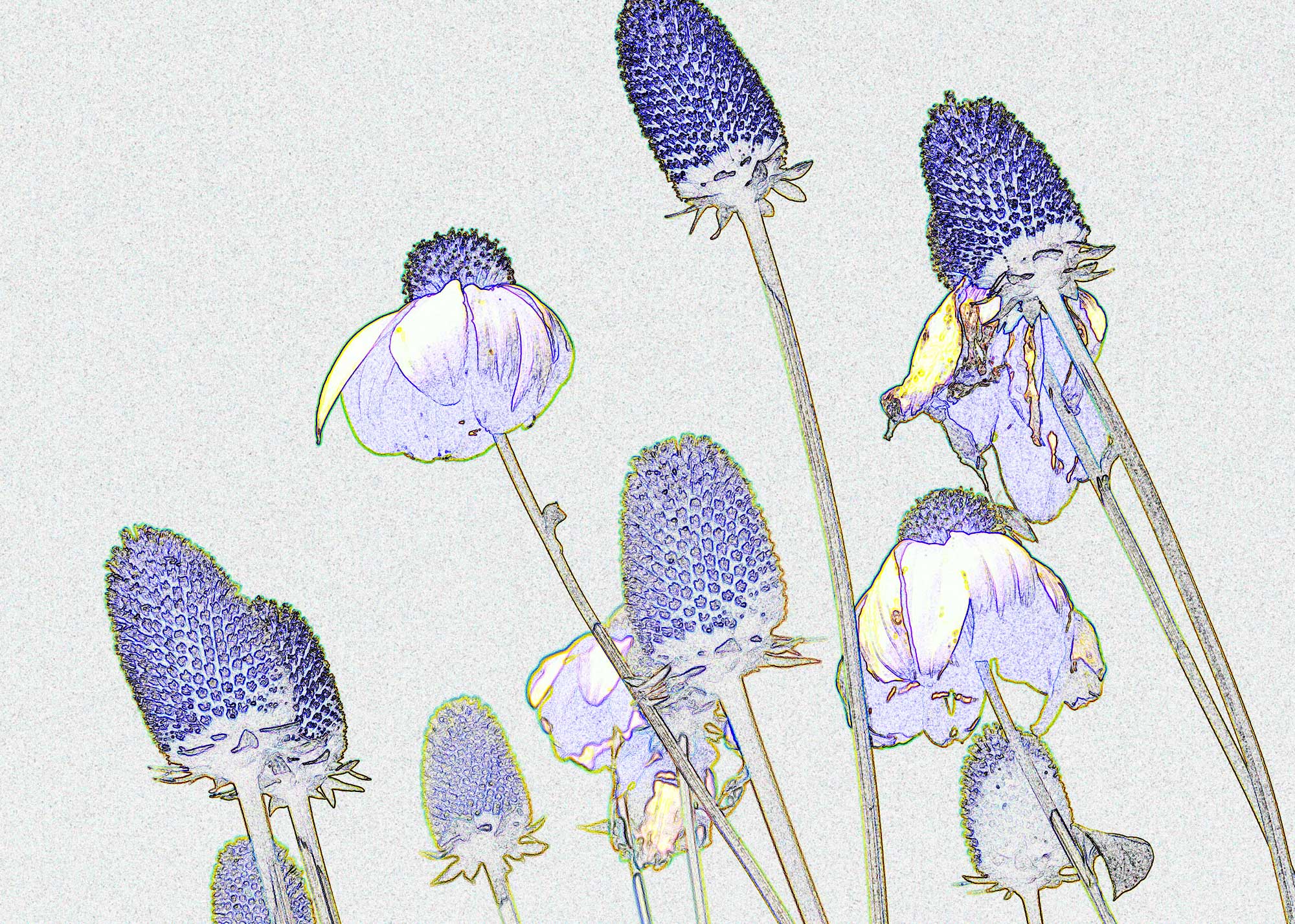 © Erhard Biebl - Floral Artcomposing, alle Rechte vorbehalten