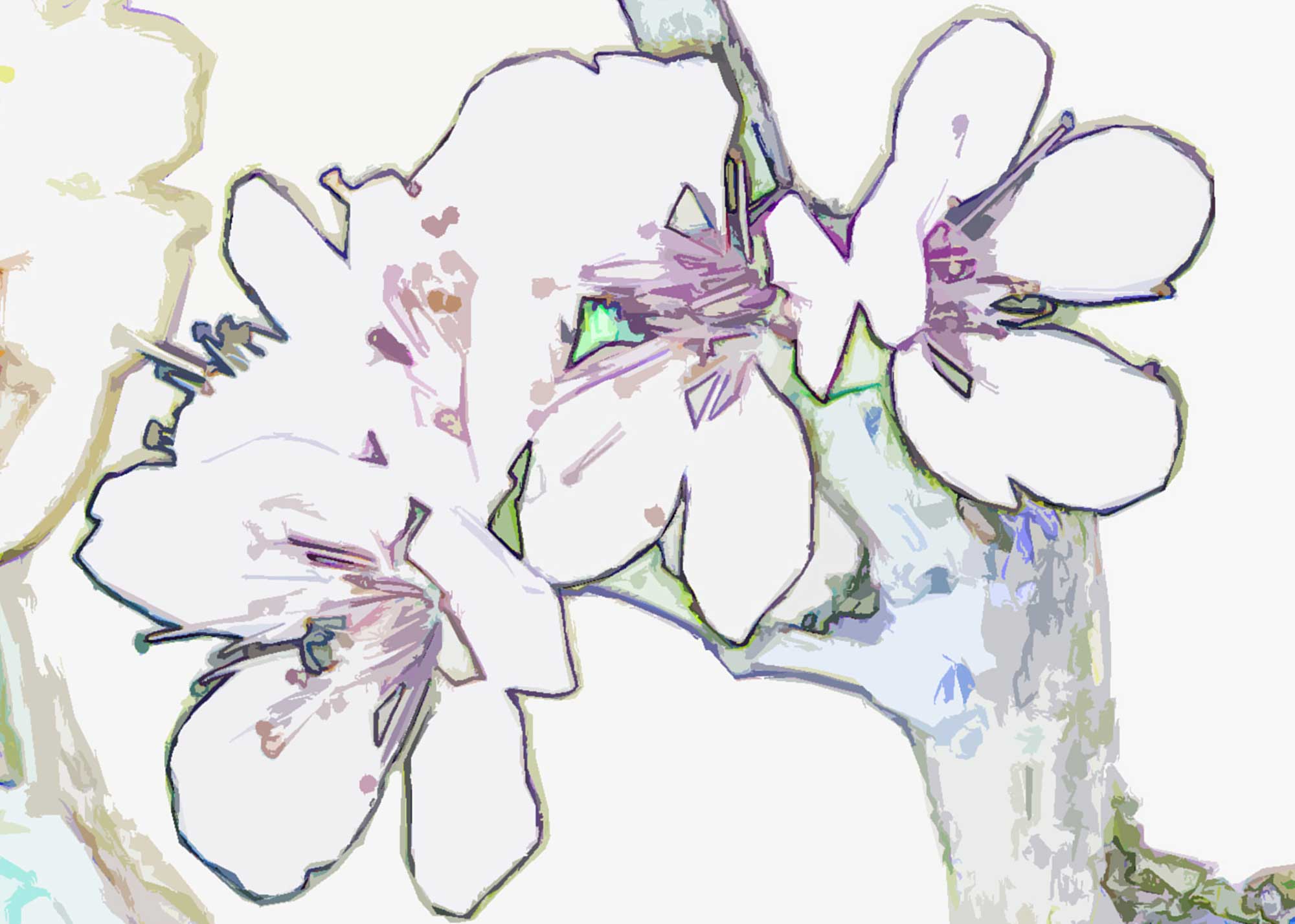 © Erhard Biebl - Floral Artcomposing, alle Rechte vorbehalten