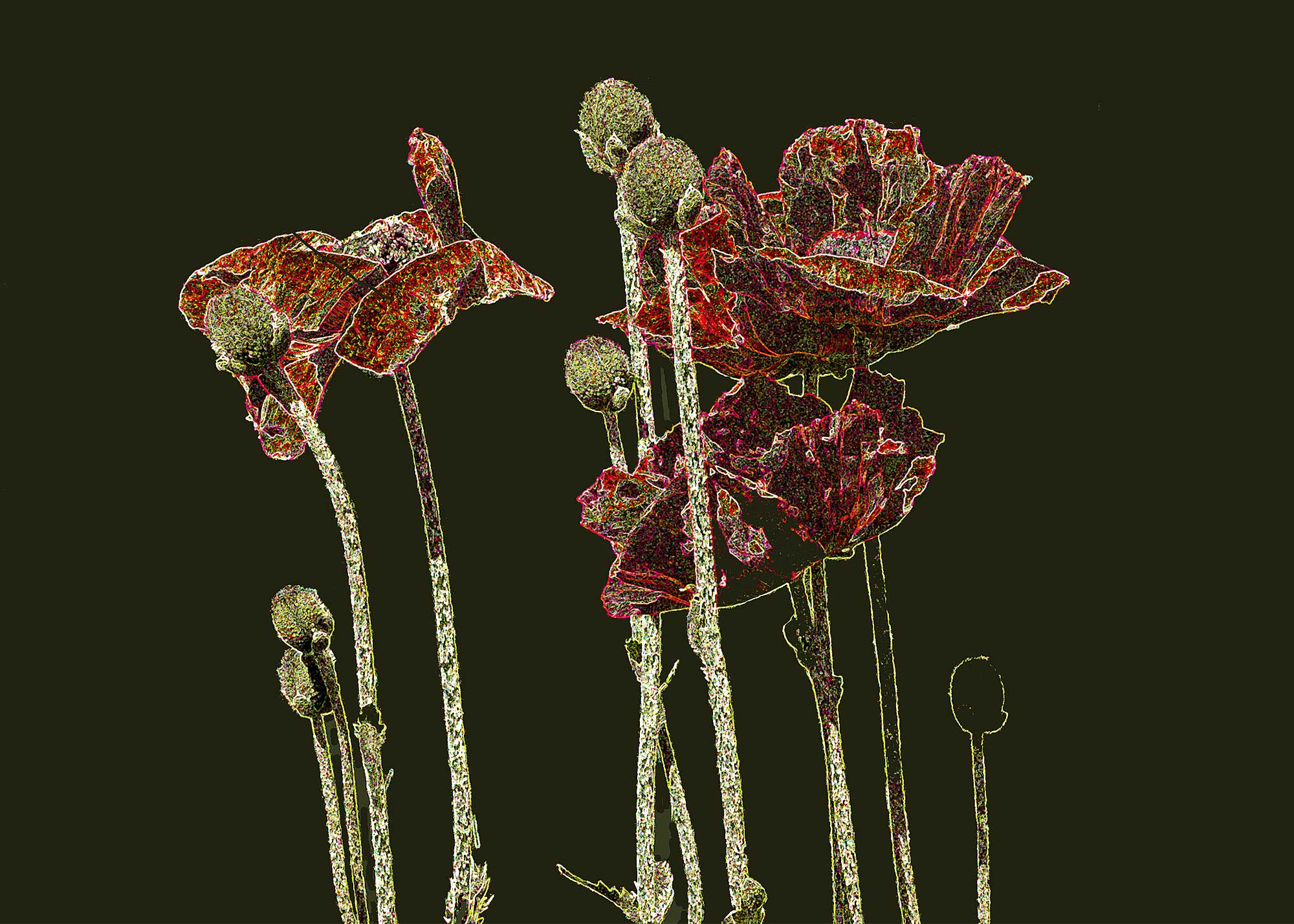 © Erhard Biebl - Floral Artcomposing, alle Rechte vorbehalten