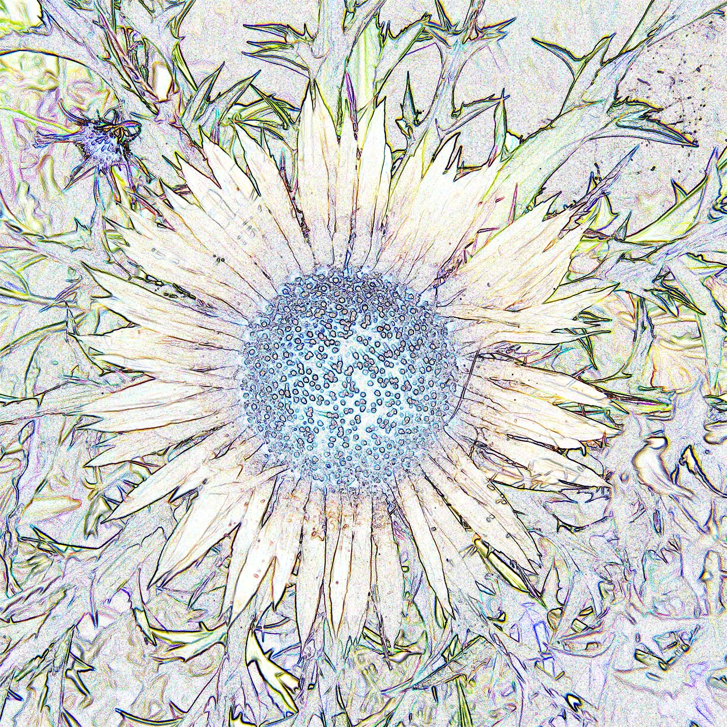 © Erhard Biebl - Floral Artcomposing, alle Rechte vorbehalten