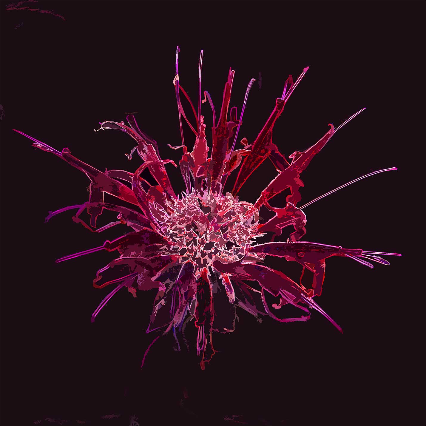 © Erhard Biebl - Floral Artcomposing, alle Rechte vorbehalten