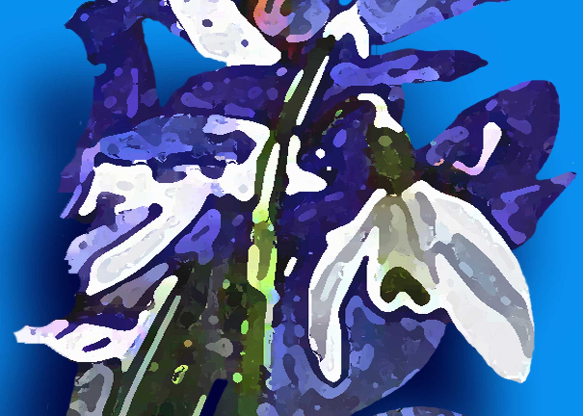 Erhard Biebl - Floral Artcomposing, alle Rechte vorbehalten