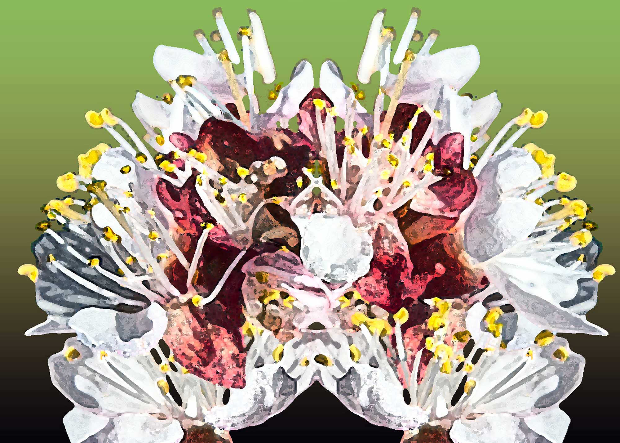 Erhard Biebl - Floral Artcomposing, alle Rechte vorbehalten